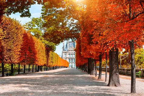 Visiting France In Autumn Where To Go In Fall In France