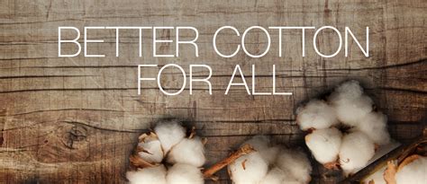 The better cotton initiative exists to make cotton production better for the people who produce it and better for the environment. Better Cotton for All - Buhler » United States Buhler ...