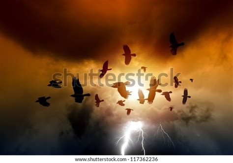 Sunset Flock Flying Ravens Crows Dark Stock Photo Edit Now 117362236