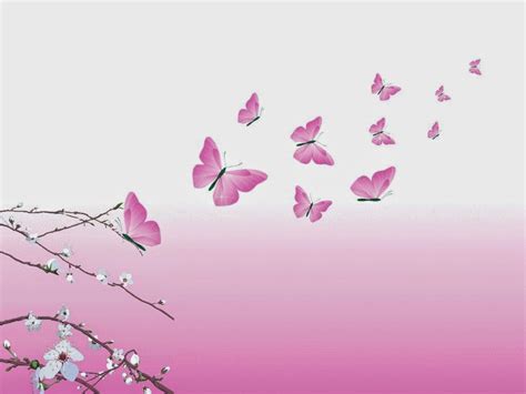 Hd Butterflies Pink Butterflies Flying Wallpaper