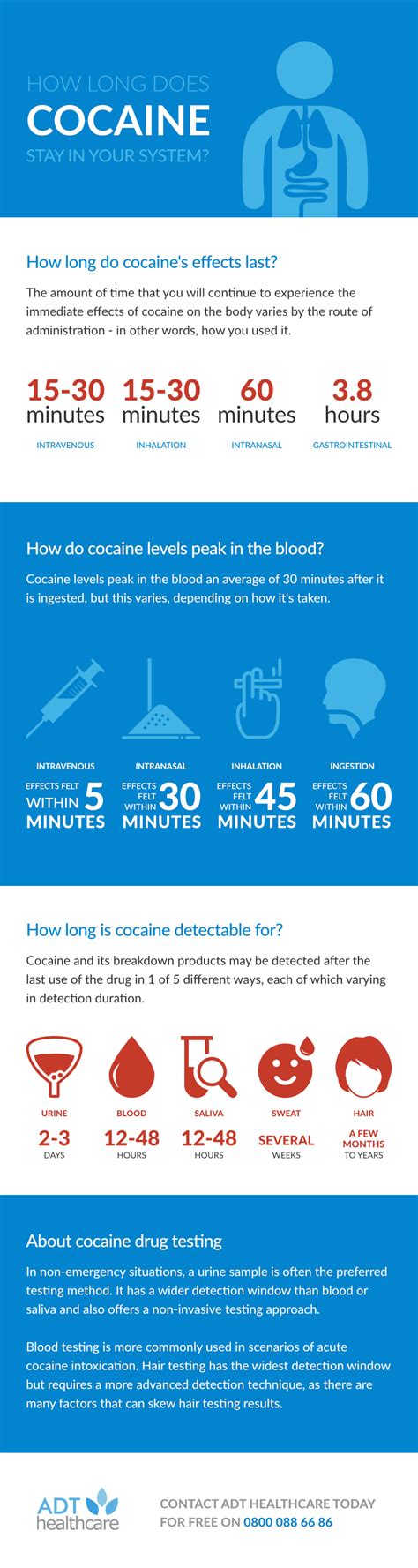 It's metabolites like benzoylecgonine, on the other hand, can be detected in the saliva for about 12 to 24 hours. How Long Does Cocaine Stay in Your System | ADT Healthcare