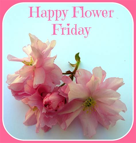 Happy Flower Friday Flowers Flowerfriday Pink Blue Happy Flowers