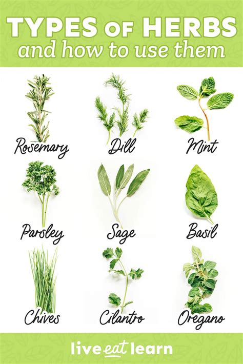 Most Popular Types Of Herbs And How To Use Them Live Eat Learn