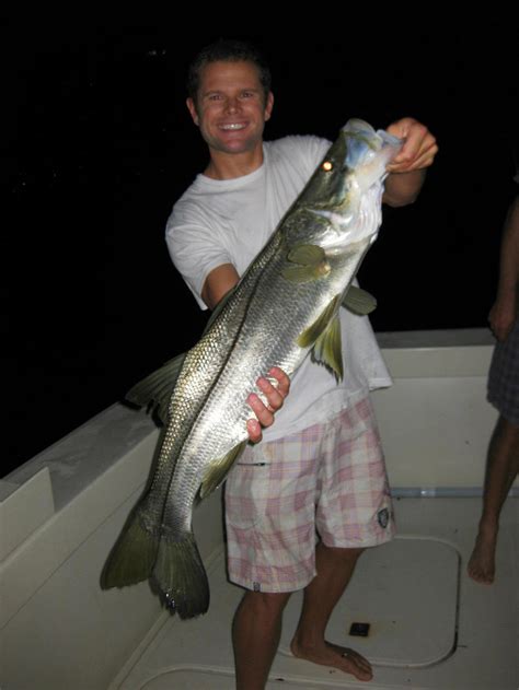 Snook Fishing Miami Florida Snook Fishing Charters
