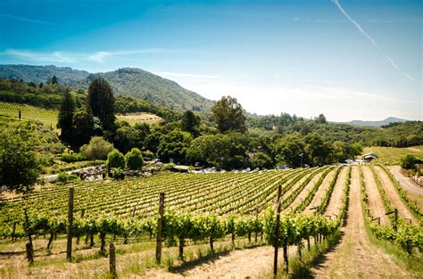 Sonoma Wine Region Decanter