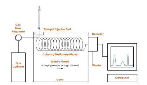 Gas Chromatography Instrumentation Diagram Hot Sex Picture