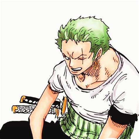 Color That Zoro One Piece One Piece Manga Zoro