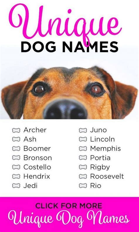 What Is A Unique Name For A Dog