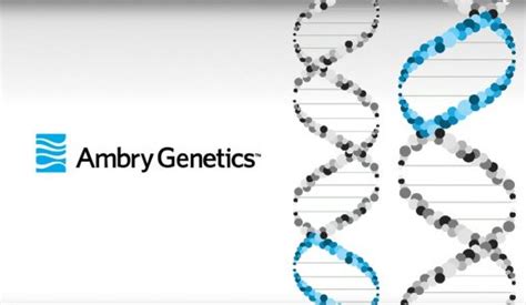 Ambry Genetics Overview Presentation Portfolio Brightcarbon