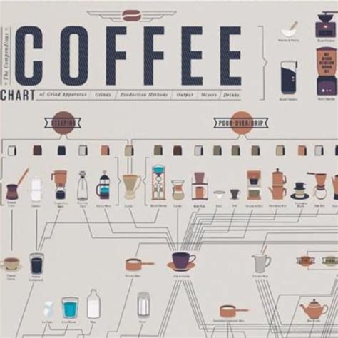 The Compendious Coffee Chart Venngage Infographic Examples Artofit