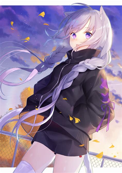 Purple Eyed Neko Original Awwnime