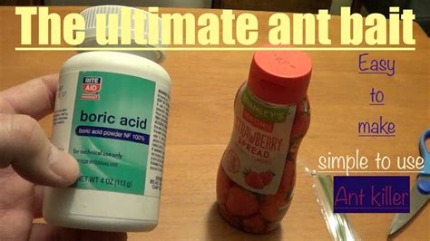 How I Make Ant Bait From Boric Acid And Jelly Youtube