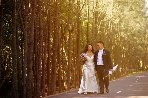 Throughout the years, our team of photographers and videographers has been able to retain a strong reputation while providing. Autumn Sydney Pre Wedding Photo Session - Vincent Lai Photography