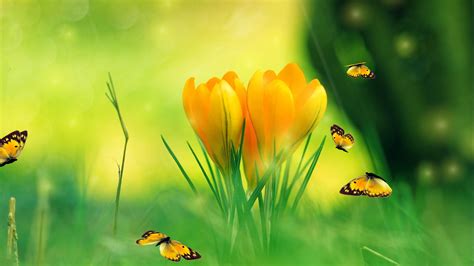 So to help you bring some better eye candy to your desktop, here are 15 free, cool screensavers for windows 10. Spring Charm Screensaver for Windows - Spring Screensaver