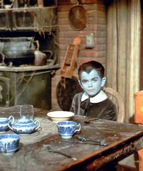 Eddie Munster The Munsters Munsters Tv Show The Munster