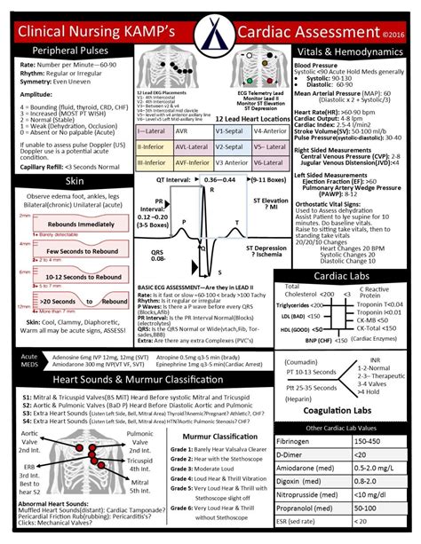 Cardiac Assessment Is At The Core Of Being That Nurse Establish Your