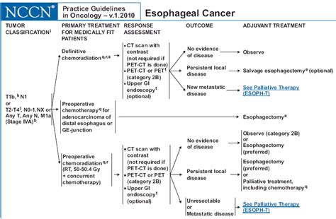 Esophagus Cancer Information