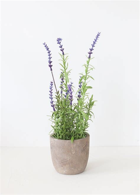 Fine Beautiful Fake Lavender Plant Artificial Plants Sale Uk