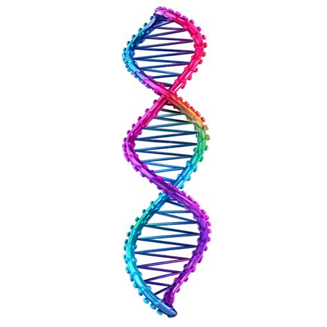 Dna Helix Structure Dna Dna Helix Png Transparent Image And Clipart
