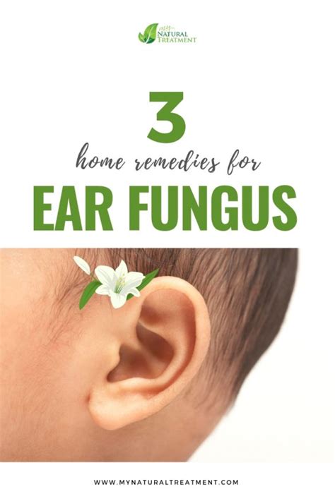 3 Easy Home Remedies For Ear Fungus With Propolis And Garlic