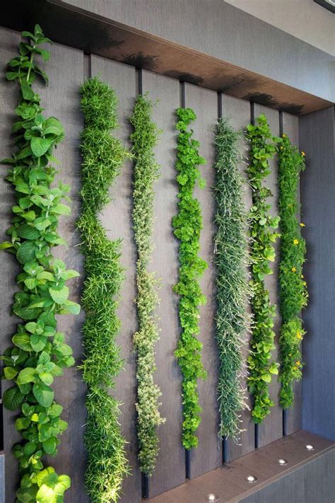 This one consists of hanging terracotta pots filled with plants… using a modern and minimalistic design this indoor herb garden hangs gracefully on the wall beside your kitchen counter and has all the herbs you. This living wall in a kitchen can be used as an indoor ...