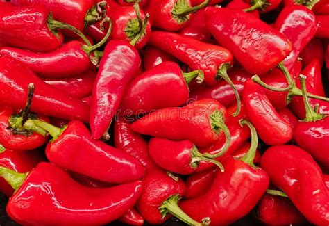 Red Fresno Chili Peppers On A Vegetable Market Stand Stock Image