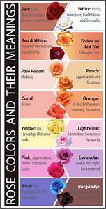 The Real Meaning Of The Different Rose Colors