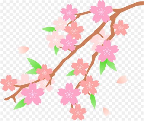 Free Cherry Blossom Clipart Download Free Cherry Blossom Clipart Png