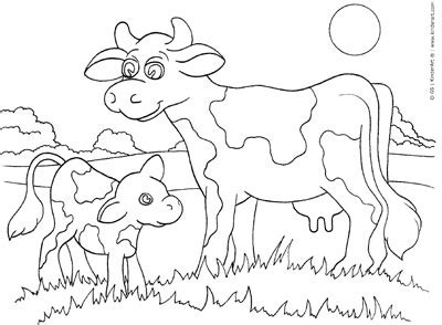 Stix queen loves to play drums. Cow and Calf Coloring Page — KinderArt