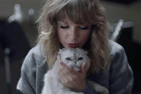 How Taylor Swifts Feline Inspired The Spy Thriller Argylle