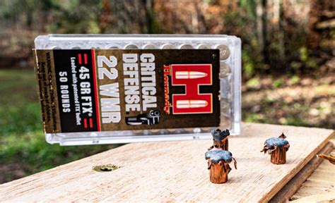 Most Powerful 22 Mag Ammo Best Bets For Self Defense And Hunting