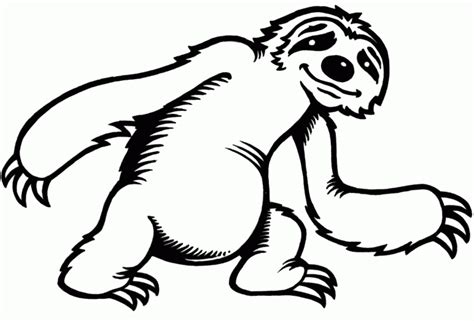 Sloth Outline Clipart Best