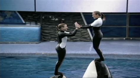 Seaworld Trainer Killed By Killer Whale