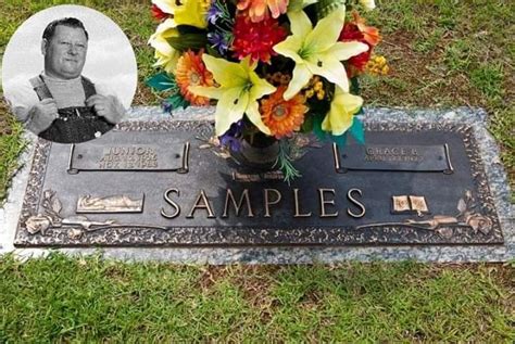 Junior Samples Born Alvin Samples Jr April 10 1926 November 13