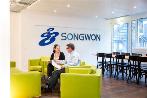 Technical Service Songwon Industrial Group