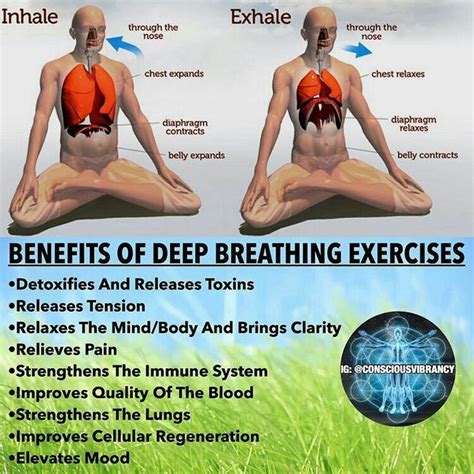 Breathing Deeper Yoga Breathing Techniques Yoga Breathing Yoga Benefits