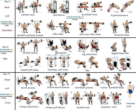 Tips Bodybuilding Workout Routine For Muscle Building Gaining Muscle Cardio Workout Exercises
