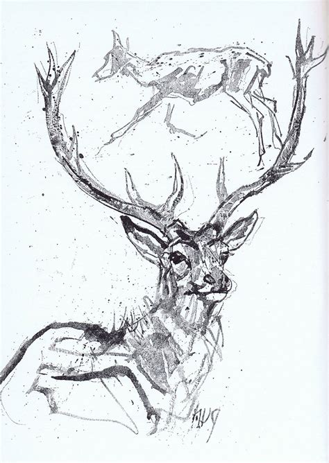 Animal Sketches Animal Drawings Art Drawings Deer Drawing Painting