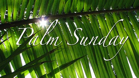 Image For Palm Sunday Britte Maridel
