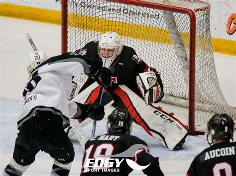 Photo Gallery Bearcats Vs Wildcats Jan 11 Truro Bearcats