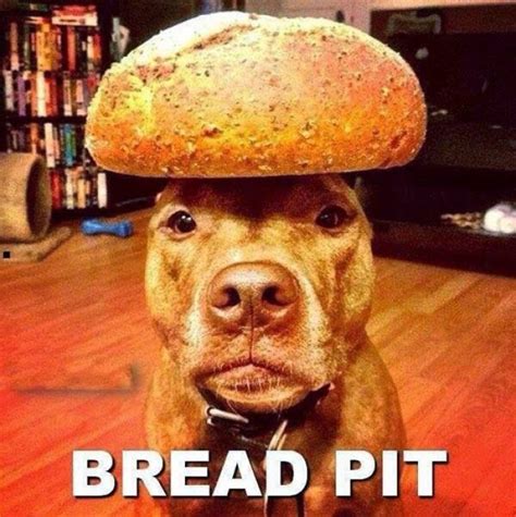 Funny Bread Pit Dog 9buz