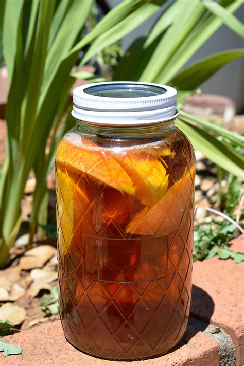 Art of tea explores history, types being an engaged crew of tea educators, we have been fortunate enough to receive many wonderful insights on tea from its history. Peach Iced Tea Recipe - WonkyWonderful