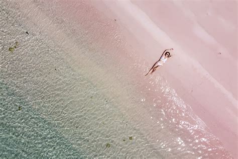 These Top Pink Sand Beaches Await Royal Caribbean Blog