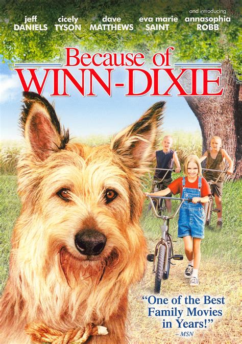 Dvd Review Wayne Wangs Because Of Winn Dixie On Fox Home