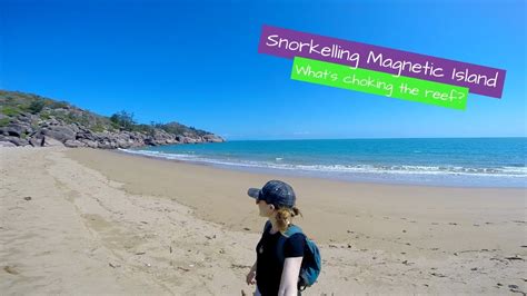 Snorkelling Magnetic Island Youtube
