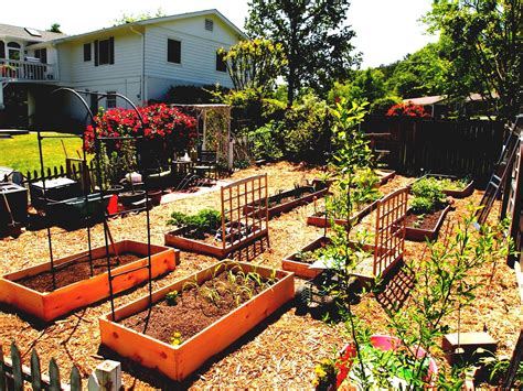 Designing A Vegetable Garden Layout For Maximum Yield And Efficiency