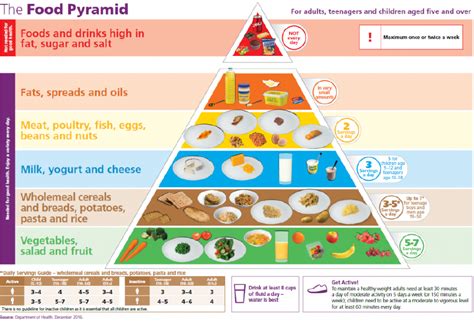 The Food Pyramid Healthy Food Choices Ninewells Community Garden