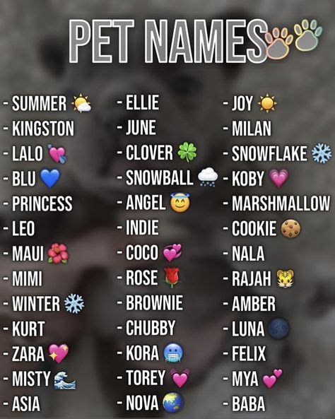 14 Baby Pet Names Ideas Names Cute Names Name Inspiration