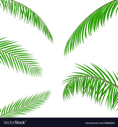 Download Tropical green leaves jungle leaves Royalty Free Vector