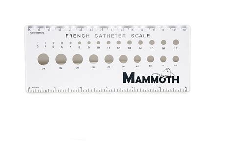 French Catheter Scale Uk Home And Kitchen